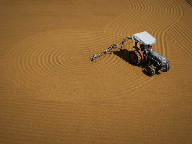 中標(biāo)：金堂縣農(nóng)業(yè)項(xiàng)目管理系統(tǒng)